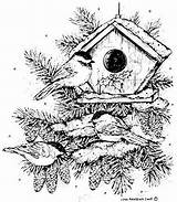 Coloring Wood Pages Burning Patterns Birdhouse Christmas Bird Chickadee Adult Stamps Rubber Northwoods Books Noel Adults Tracing Ink Mounted Trio sketch template