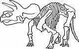 Coloring Skeleton Dinosaur Pages Head Bones Pirate Bone Triceratops Drawing Fossil Printable Rex Print Bryant Kobe Skull Animal Kids Human sketch template
