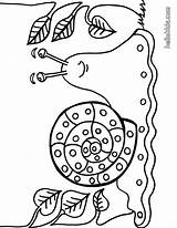 Snail Caracol Schnecke Caracoles Kleurplaat Ausdrucken Slak Colorir Malvorlagen Animales Kleurplaten Schnecken Slug Escargot Desenhos Automne Hellokids Escargots Maternelle Caracola sketch template
