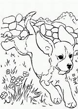 Corriendo Coloreartv Cachorros sketch template