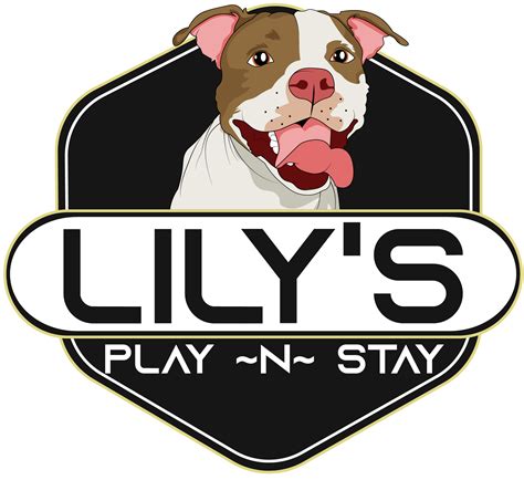 Book Now Lilys Play ~n~ Stay
