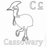 Cassowary Pages Sheets sketch template