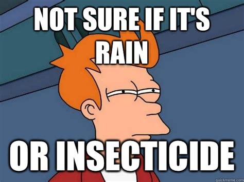 not sure if it s rain or insecticide not sure fry quickmeme