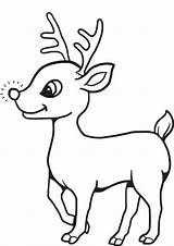 Rudolph Reindeer Reno Nosed Rentier Colorear Ausmalbild Renos Navidad Colouring Momjunction Tulamama sketch template