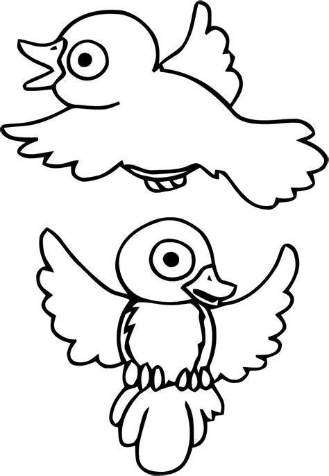 pretty birds birds kids coloring pages