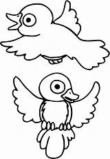 Birds Coloring Kids Pages Color Simple sketch template