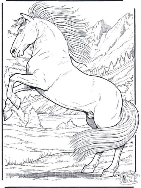 printable coloring horse pictures mewarna