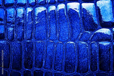 blue snake skin  pattern reptile stock photo adobe stock