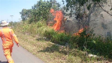Bontang Di Hantui Kebakaran Hutan Update Indonesia