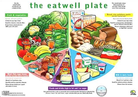 food groups google search food inquiry pinterest  smalls