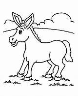 Donkey Keledai Mewarnai Esel Cachorro Ausmalen Ausmalbild Pato Malvorlage Gato Vaca Sapo Imprimirdesenhos sketch template