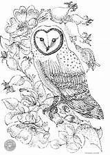 Owl Coloring Pages Printable Barn Colouring Color Print Owls Kids Adults Adult Roses Nature Animal Sheet Animals Abstract Books Sheets sketch template