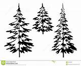 Pine Tree Trees Outline Drawing Fir Clipart Forest Simple Coloring Silhouette Douglas Drawings Background Svg Logo Pines Line Sketch Redwood sketch template