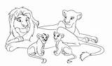 Lion Family Drawing Drawings King Paintingvalley sketch template