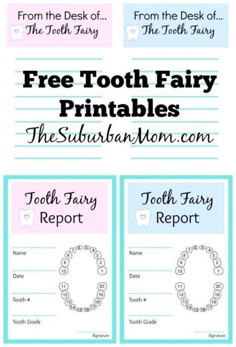 tooth fairy inspiration   printables tooth fairy letter tooth