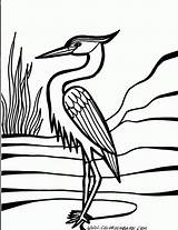 Heron Getdrawings Printables sketch template