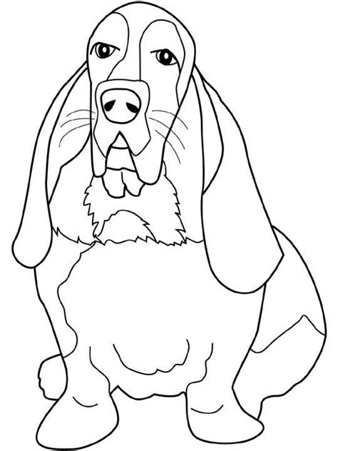 dogs coloring pages basset hound coloring book dogs cats