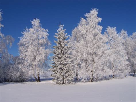 zima foto zivot je bojale stoji zato