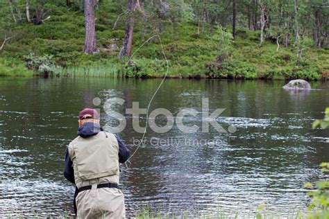 fly fisherman    stock photo royalty  freeimages