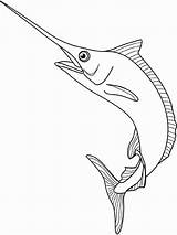 Marlin Swordfish Peces Poisson Pez Colorier Poissons Coloriages Ballenas Fois Imprimé sketch template