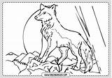 Lobos Colouring Drawings Animals Rincondibujos sketch template
