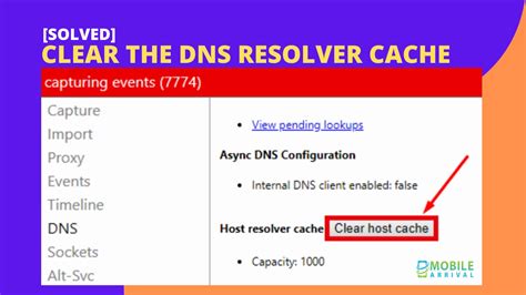 clear  dns resolver cache flush socket pools  chrome browser