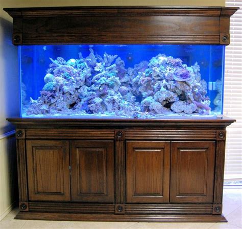 fish aquariums  stands fish tank fish tank wall aquarium