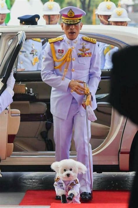 thailand protests  royal family