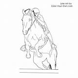 Front Thoroughbred Jumper Coloring Pages Horse Index sketch template