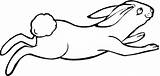 Lepre Colorear Haas Hare Kleurplaat Springende Liebre Kleurplaten Hase Lepri Saltando Lapin Ausmalbild Springender Saute Zeichnen Jackrabbit Jumping Categorieën sketch template