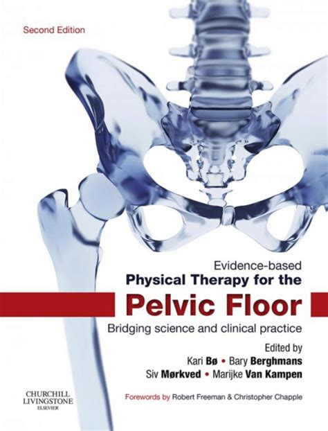 Evidence Based Physical Therapy For The Pelvic Floor Ebook