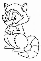 Coloring Raccoon Racoon Pages Outline Drawing Camping Printable Print Cartoon Easy Coloringme Baby Animal Getcolorings Color Cute Chester Farm Getdrawings sketch template