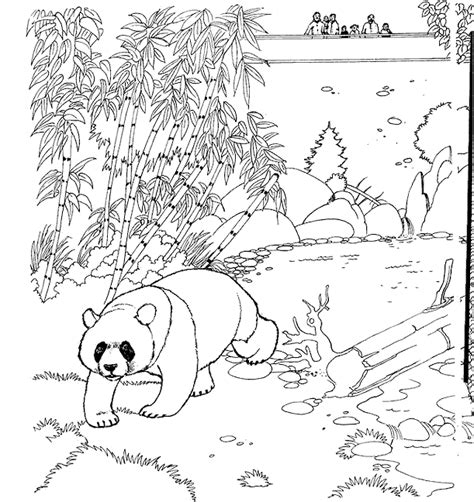 kids  funcom  coloring pages  zoo