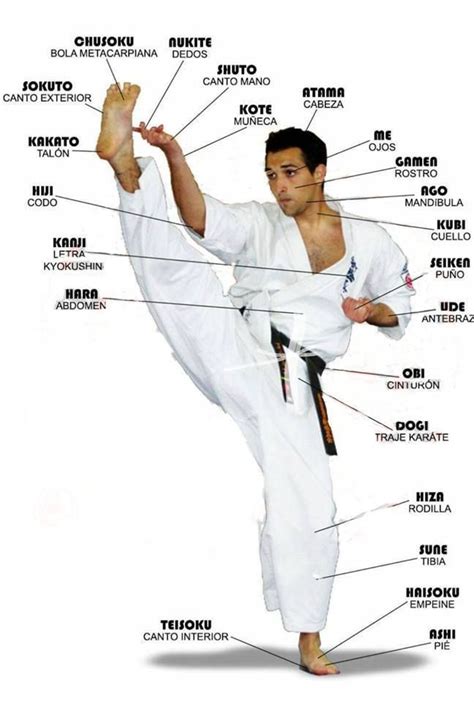 pin de kyokushineveryday en kyokushinkai entrenamiento de las artes