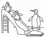 Coloring Pages Penguin Penguins Printable Baby Caring Worry Parents While Play sketch template