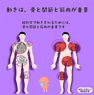 骨と運動 に対する画像結果.サイズ: 184 x 185。ソース: anatomy-yoga.com