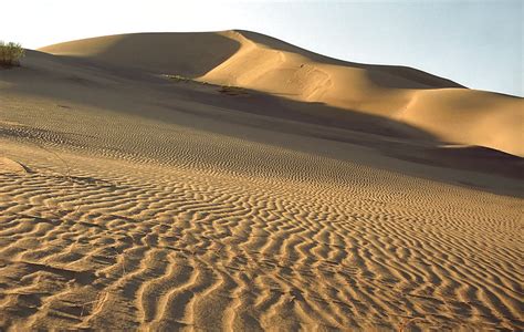 high quality stock   sand dunes national park
