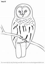 Owl Drawing Barred Draw Step Simple Line Birds Getdrawings Animals Learn Necessary Improvements Finish Make Tutorials Drawingtutorials101 sketch template