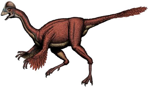 chicken  hell feathered dinosaur   dakotas earth