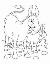 Donkey Foal Coloring Pages Baby Drawing Kids Printable Getdrawings Getcolorings Books Color sketch template