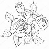 Roses Rose Flowers Vector Drawing Leaf Flower Leaves Tattoo Outline Designs Contours Coloring Drawings Graphic Sketch Pages Template Simple Bud sketch template