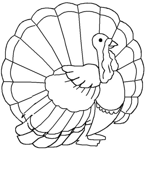 turkey color pages printable