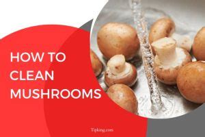 clean mushrooms tipking