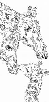 Coloring Pages Giraffe Adult Book Colouring Mandala Printable Sheets Clip Adults Kids Drawn Hand Original Zentangle Doodle Print Books Animal sketch template