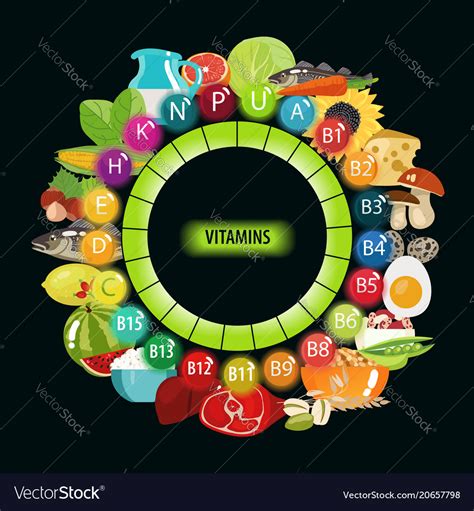 vitamins  food royalty  vector image
