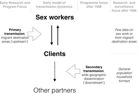economy migrant labour and sex work interplay of hiv epidemic drivers
