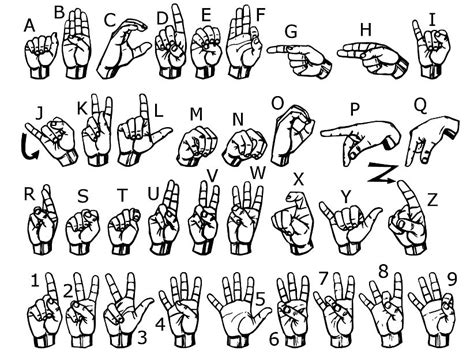 learn american sign language    pace