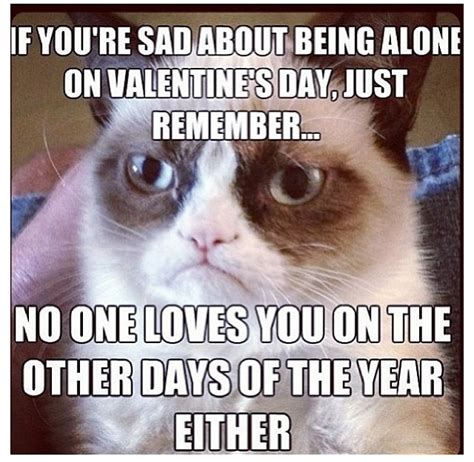 44 Best Images About Grumpy Cat Memes On Pinterest Punch