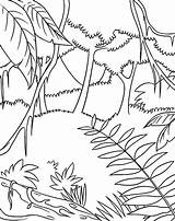 Jungle Rainforest Coloring Pages Drawing Easy Rain Trees Forest Draw Drawings Animals Printable Preschoolers Kids Color Sheets Tropical Themed Getcolorings sketch template