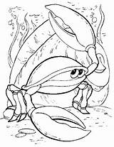 Colorare Pesci Colorat Disegni Kleurplaten Krab Ribe Animale Bojanke Raci Mewarnai Malvorlagen Krabbe Crtež Kepiting P14 Caranguejo Crabe Riba Krabben sketch template